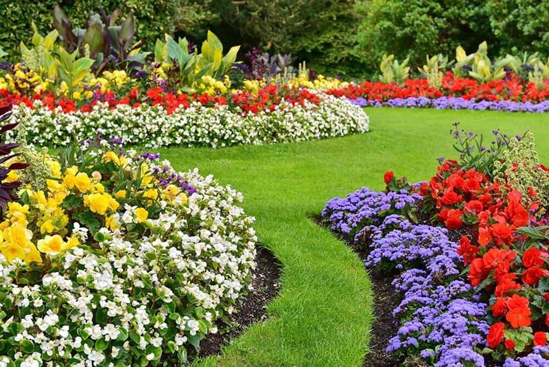 Hand Push Lawn Mower for Garden